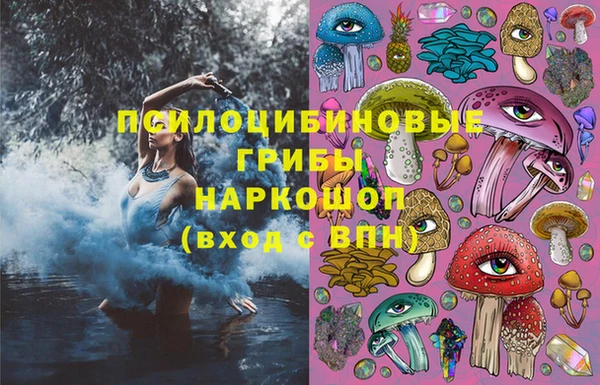 первитин Гусь-Хрустальный