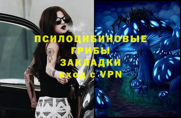 дмт Гусиноозёрск