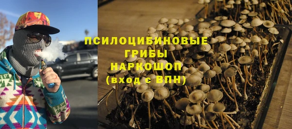 дмт Гусиноозёрск