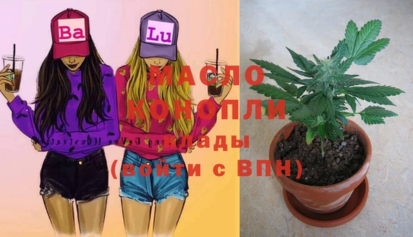 дмт Гусиноозёрск