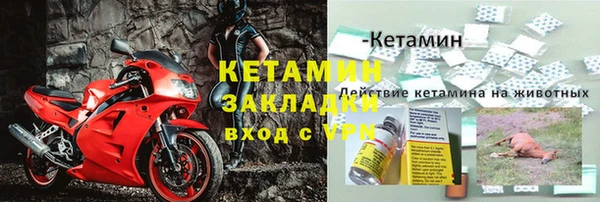 крисы Гусев