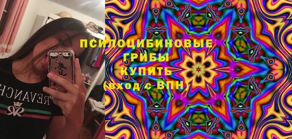 крисы Гусев