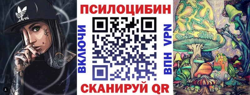 Псилоцибиновые грибы Psilocybe  Купить закладки  Усинск 